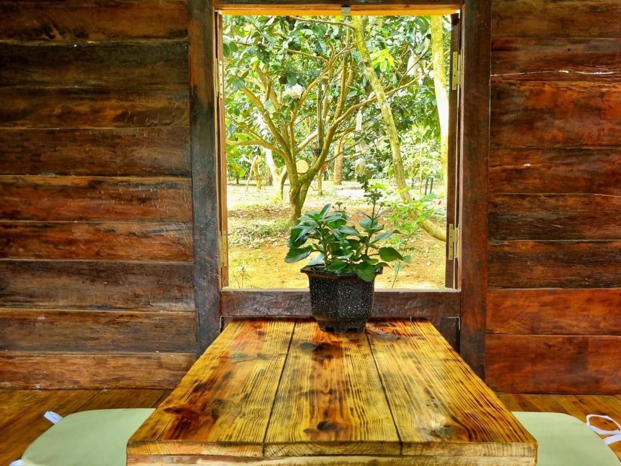 Homestay Vuon Trai Cay Nhiet Doi Vo Uu Garden Bao Loc Exterior photo