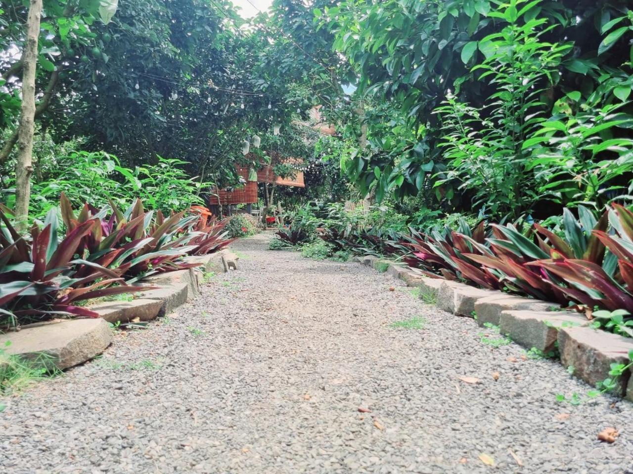Homestay Vuon Trai Cay Nhiet Doi Vo Uu Garden Bao Loc Exterior photo